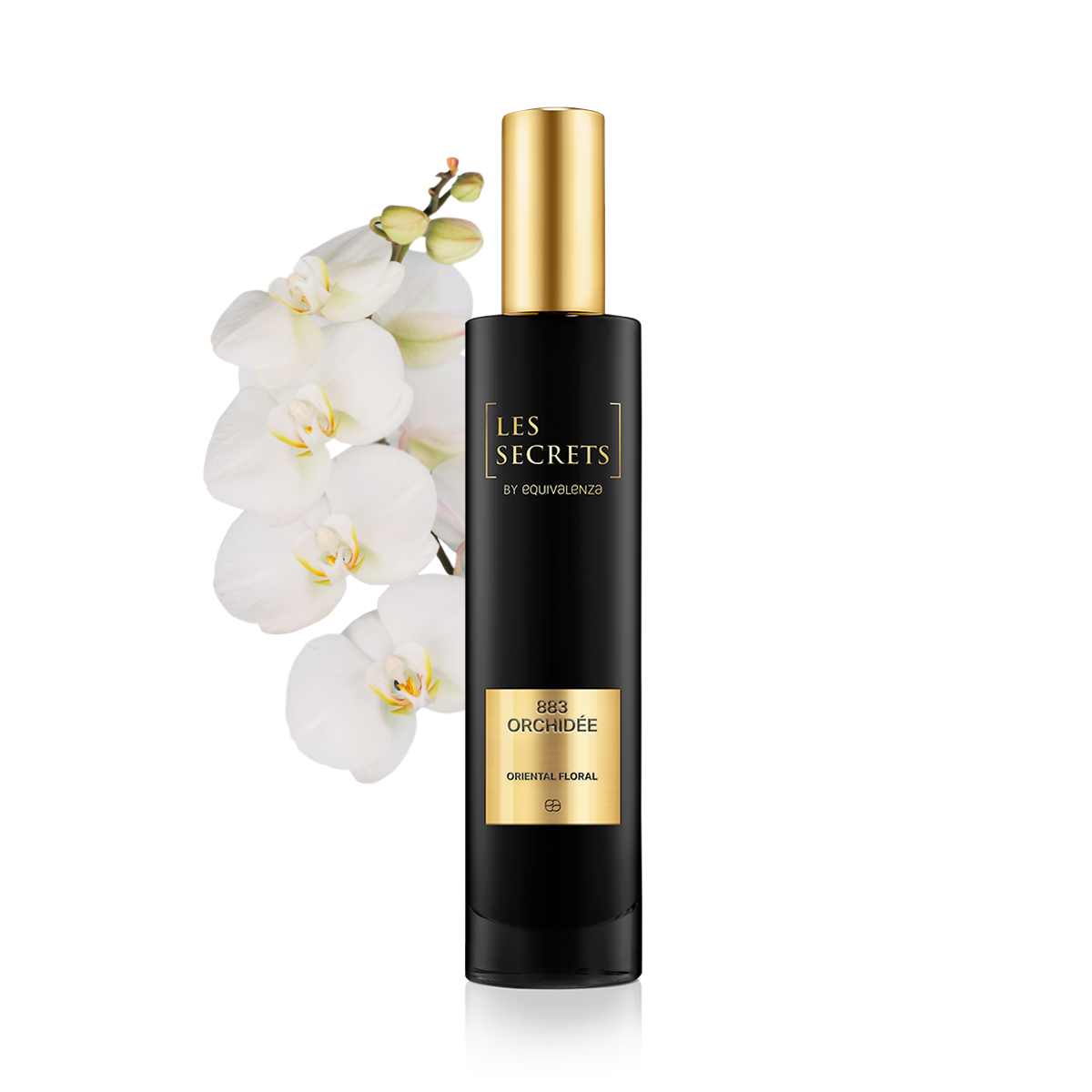 Orchidee 883