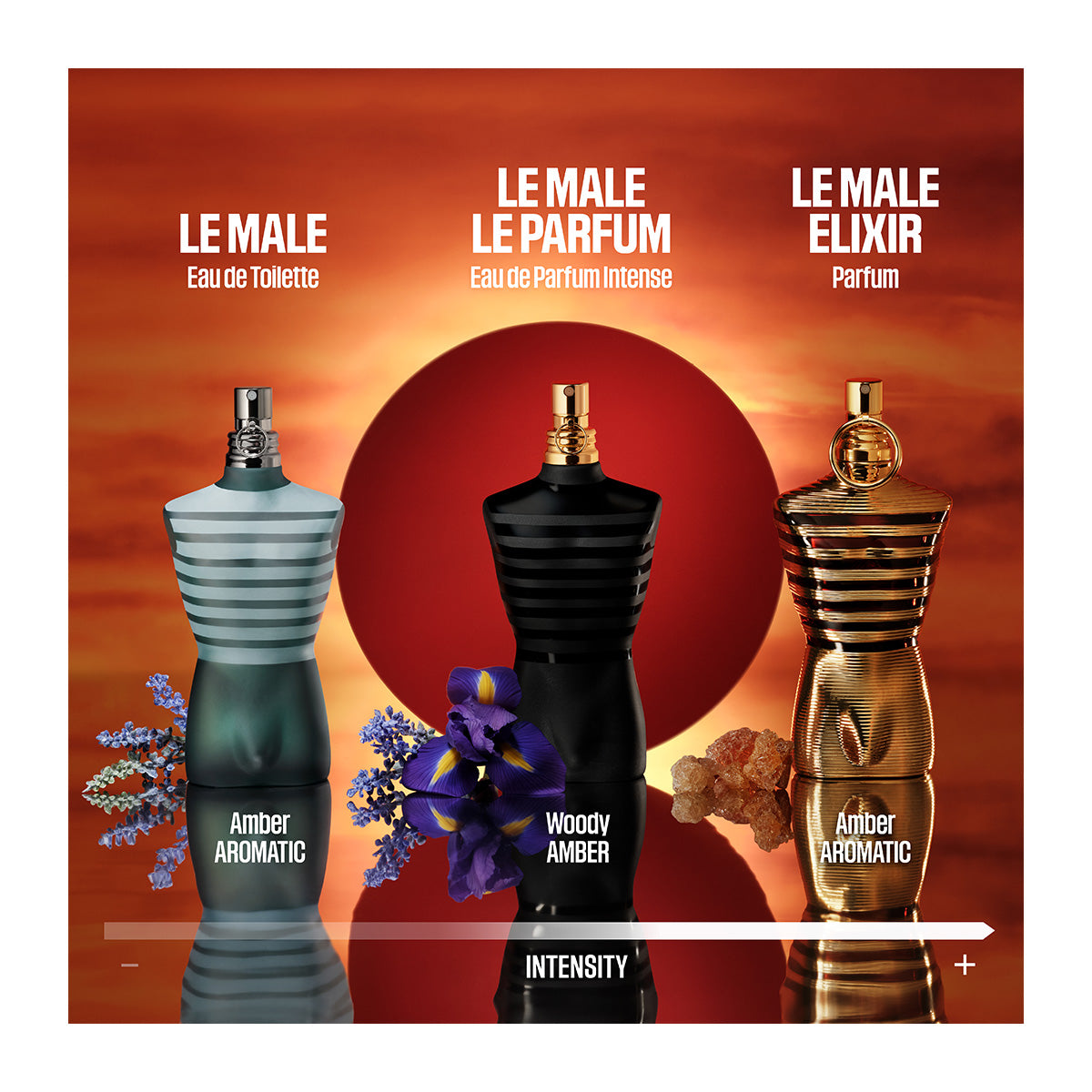 Le Male Elixir