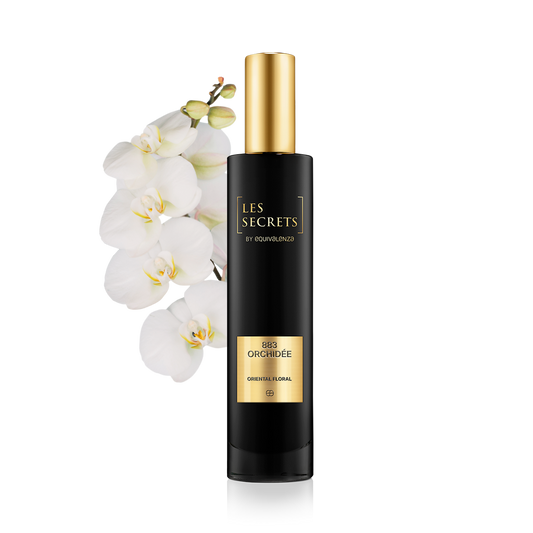 Orchidee 883